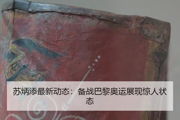 su-bing-tian-zui-xin-dong-tai-bei-zhan-ba-li-ao-yun-zhan-xian-jing-ren-zhuang-tai-2-402.jpg